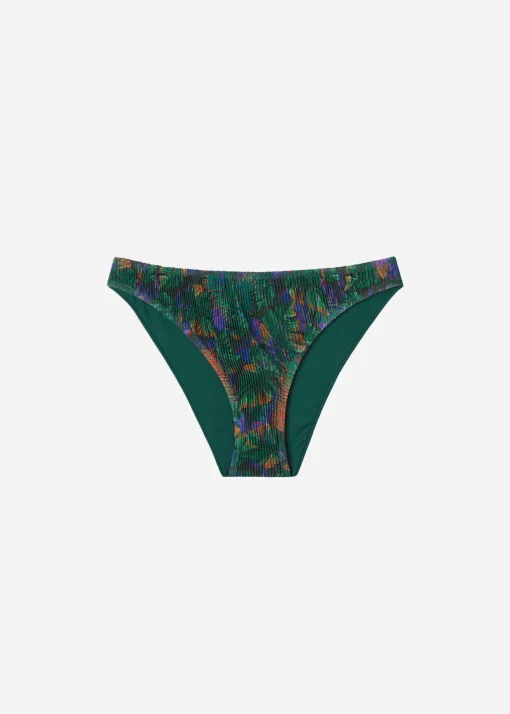 Braguita Clásica Bikini Night Foliage