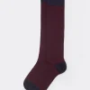 Calcetines Largos Algodón  Microestampados/Lunares